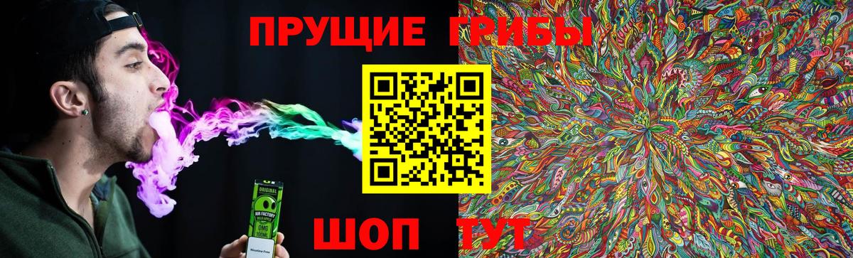 Псилоцибиновые грибы Magic Shrooms  Псилоцибиновые грибы Psilocybe  Кудрово  Вход с VPN 